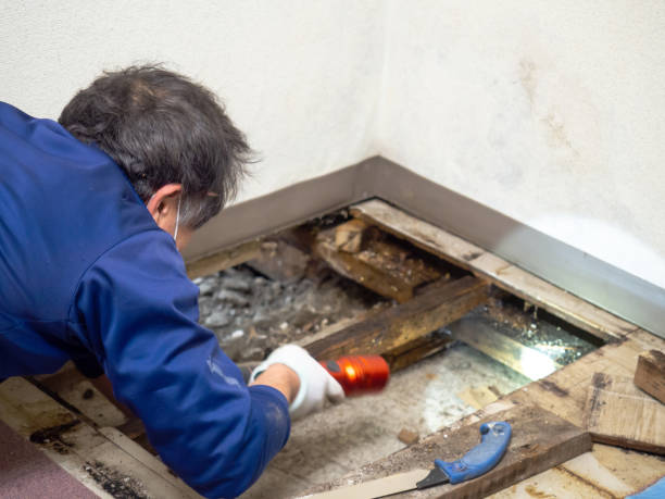 Best Mold Damage Repair  in Kingsburg, CA
