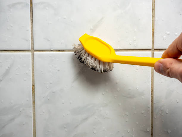 Certified Mold Removal in Kingsburg, CA