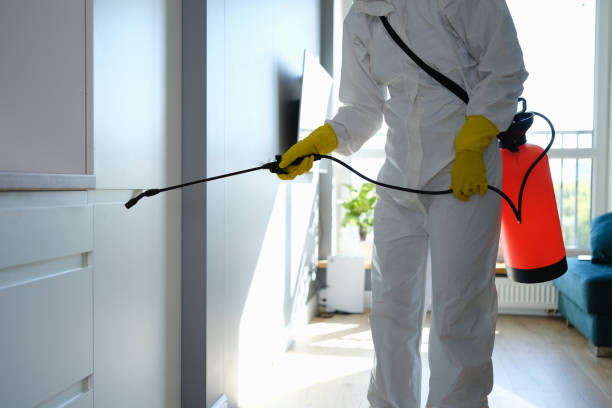 Mold Removal and Inspection in Kingsburg, CA