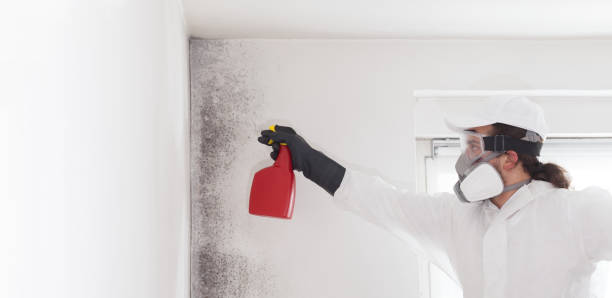 Crawl Space Mold Removal in Kingsburg, CA