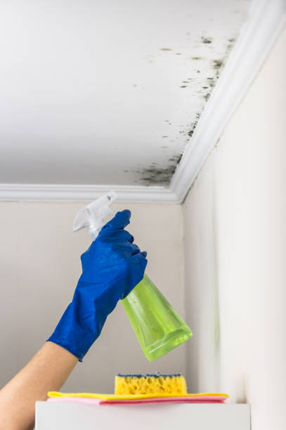 Best Mold Damage Repair  in Kingsburg, CA
