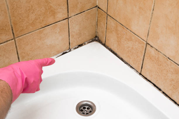 Best Certified Mold Removal  in Kingsburg, CA